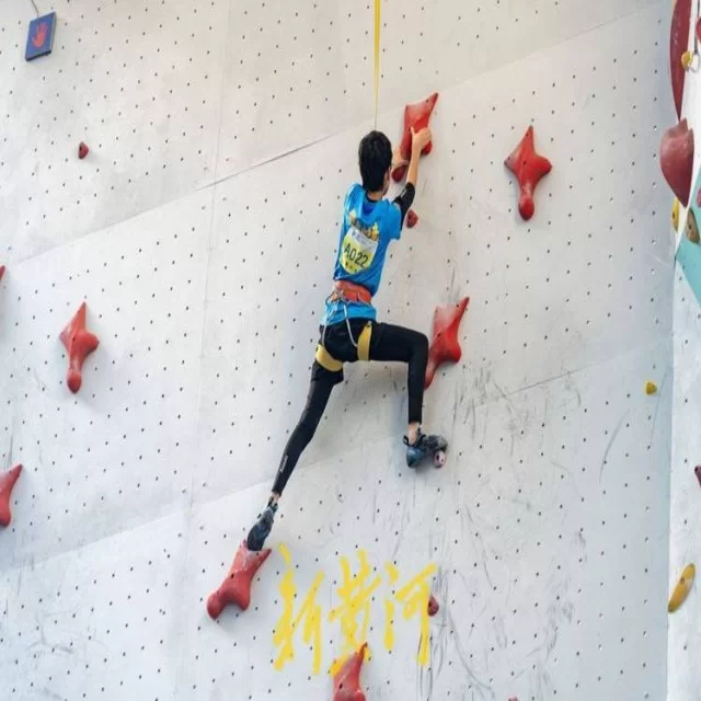 欧洲赛场第238组晋级形势与战术深入解读